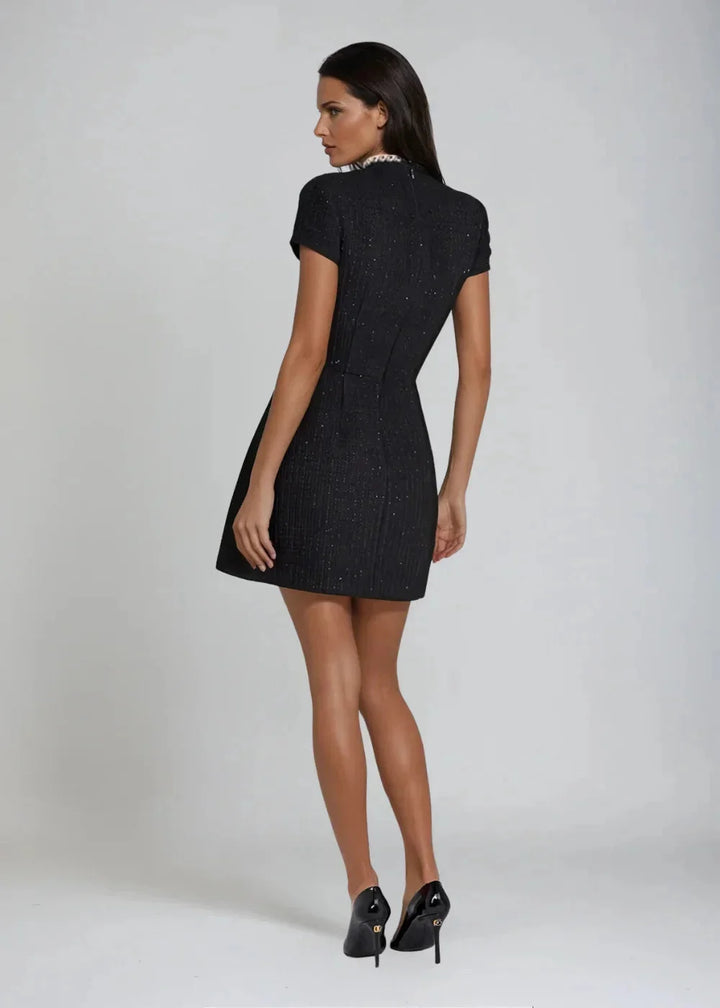 Black mini dress with mock neck and beaded trim details. Features a figure-hugging silhouette perfect for a night out.