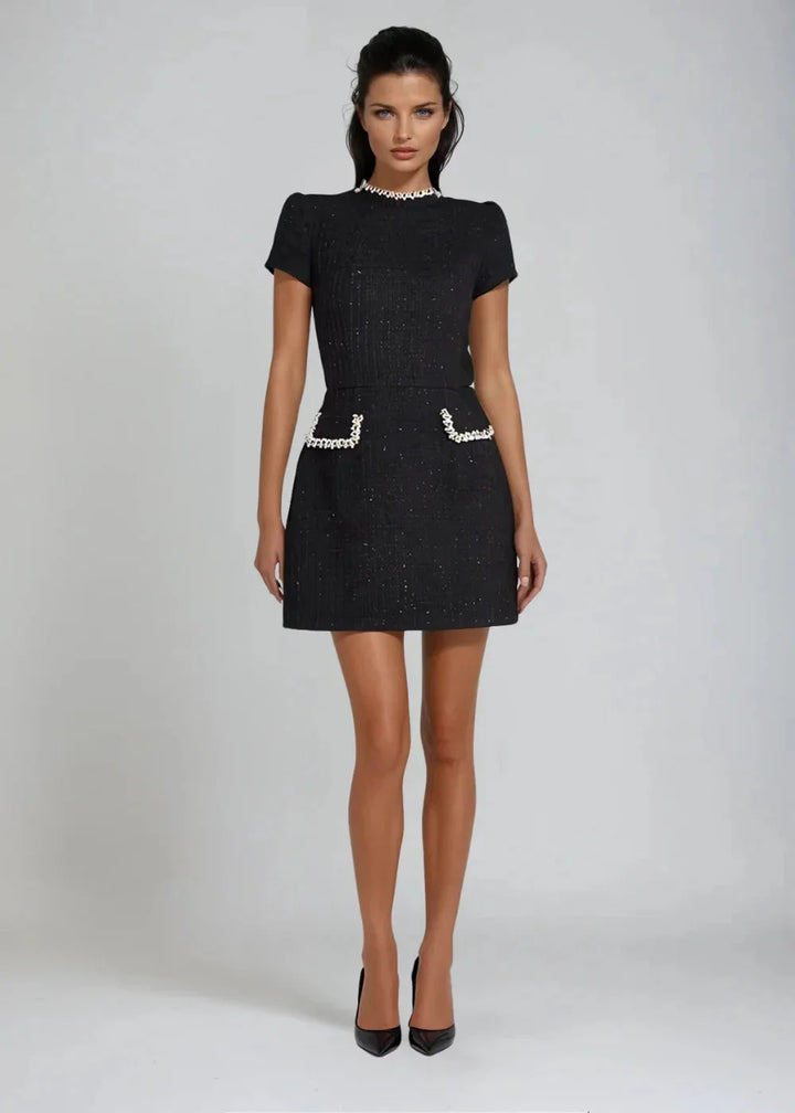 Black mini dress featuring a mock neck and intricate beaded trim detailing. Subtle and elegant design perfect for special…
